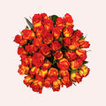 Catch roses