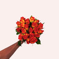 Catch roses