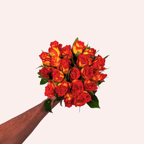 Catch roses