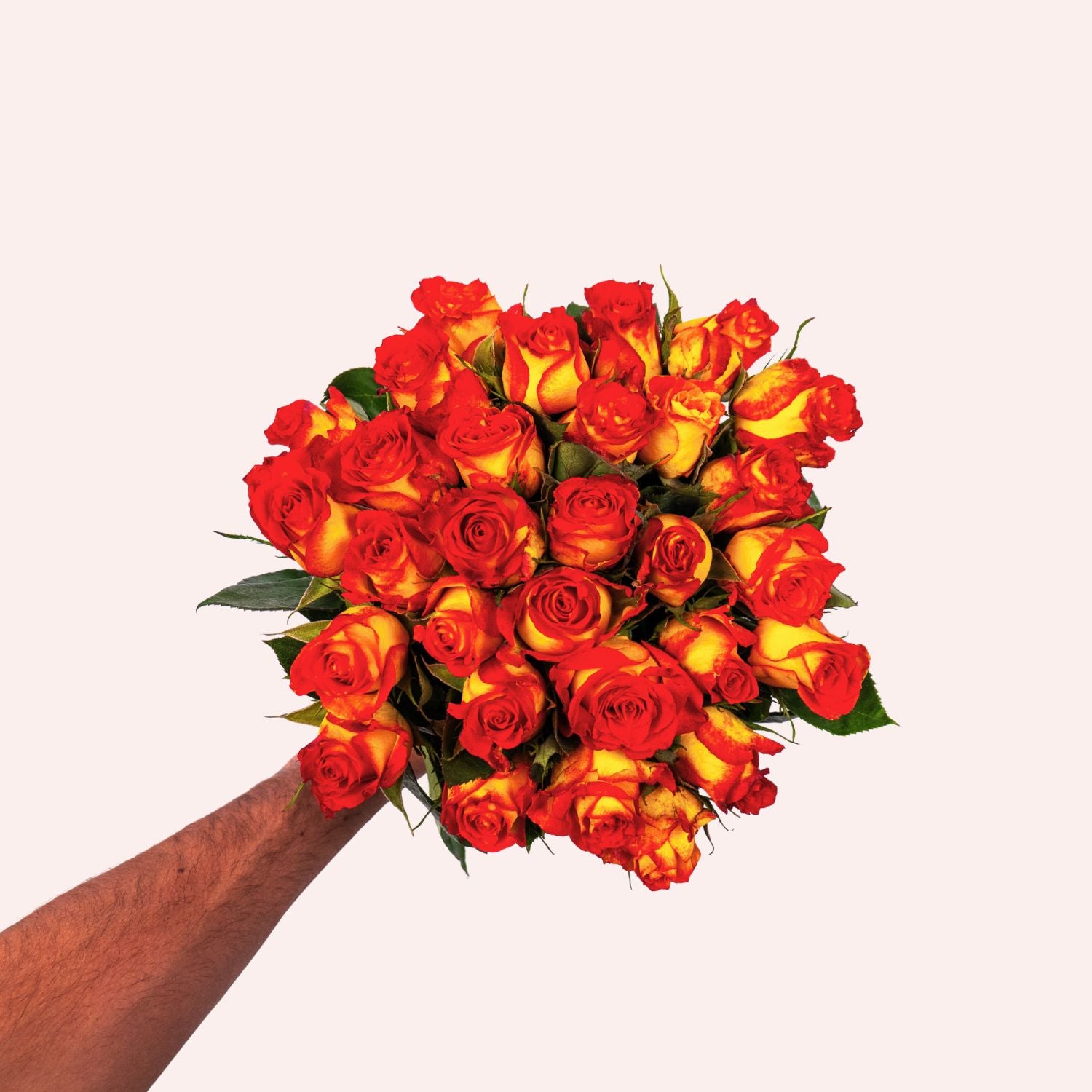 Catch roses
