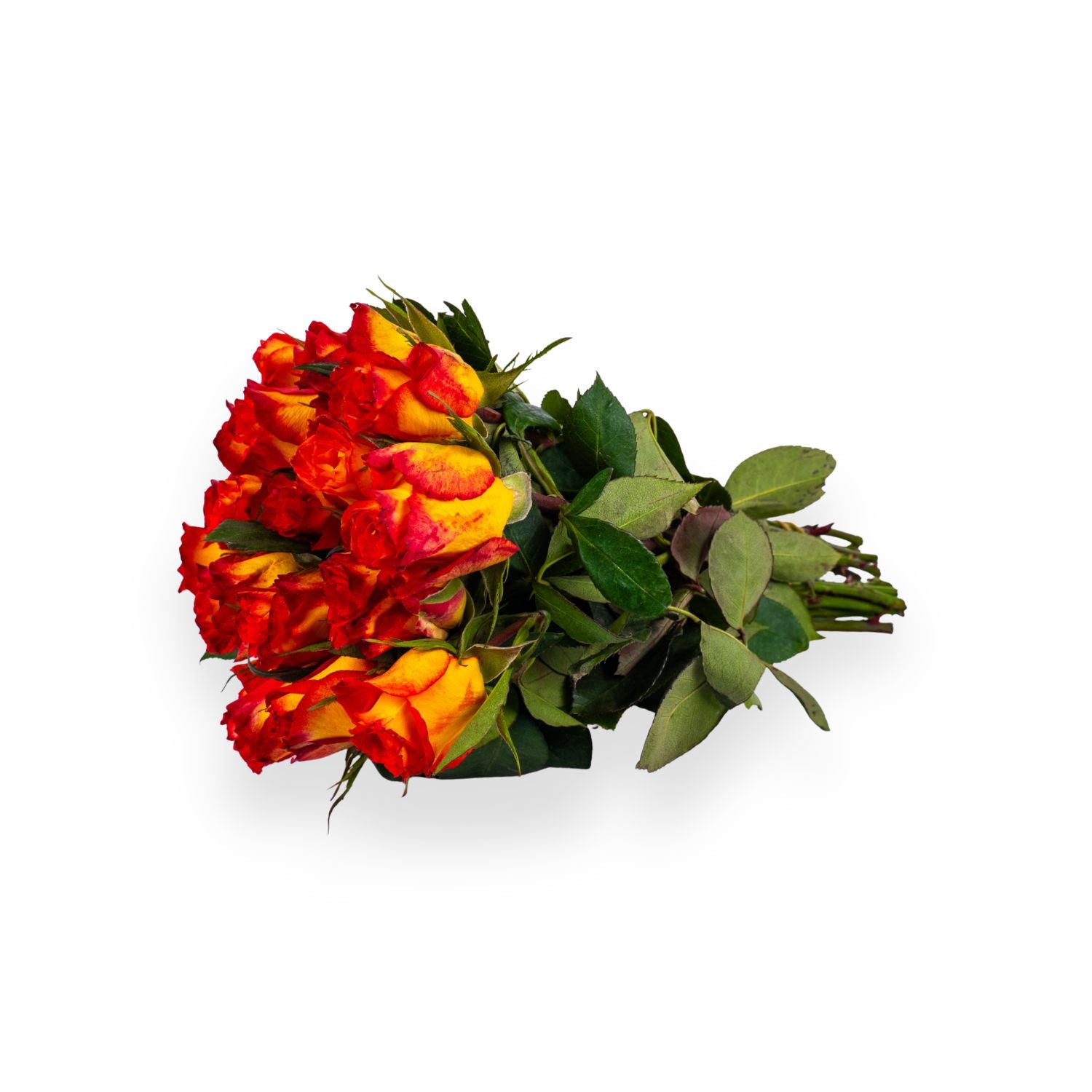 Catch roses