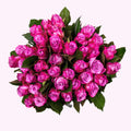 Maritime roses