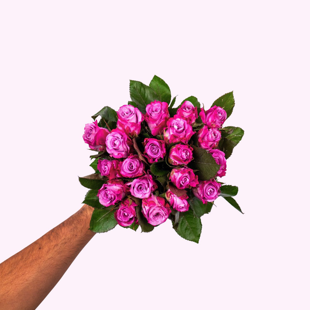 Maritime roses