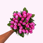Maritime Pink - Pink Roses