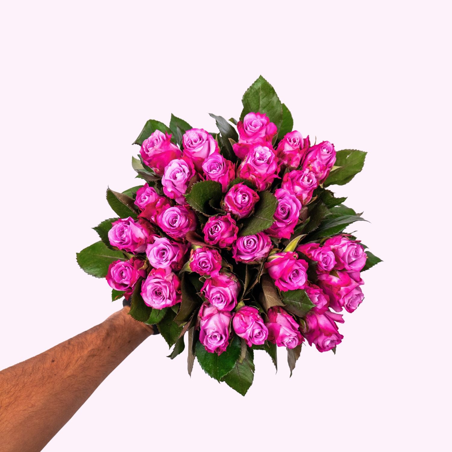 Maritime roses
