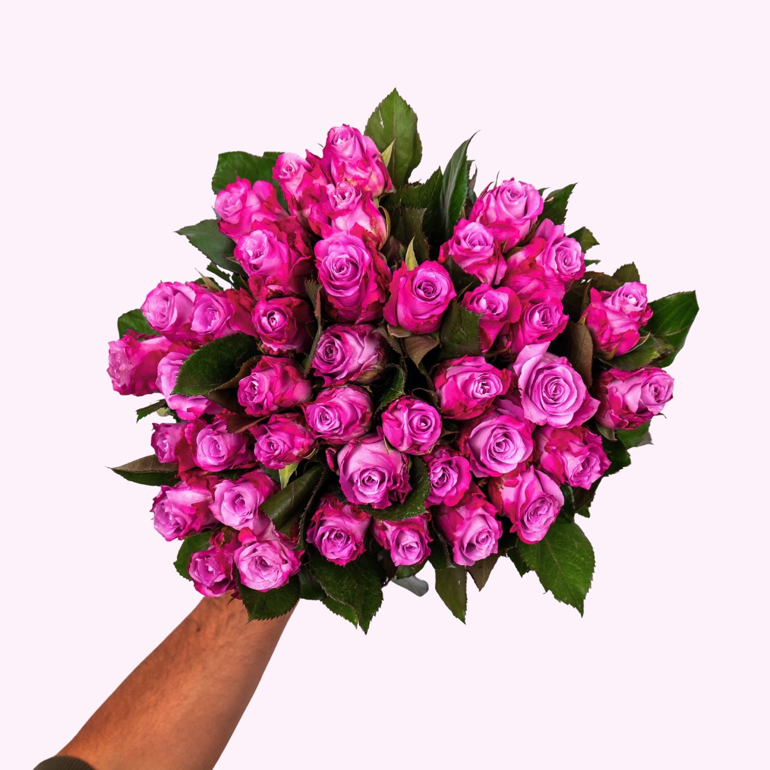 Maritime roses