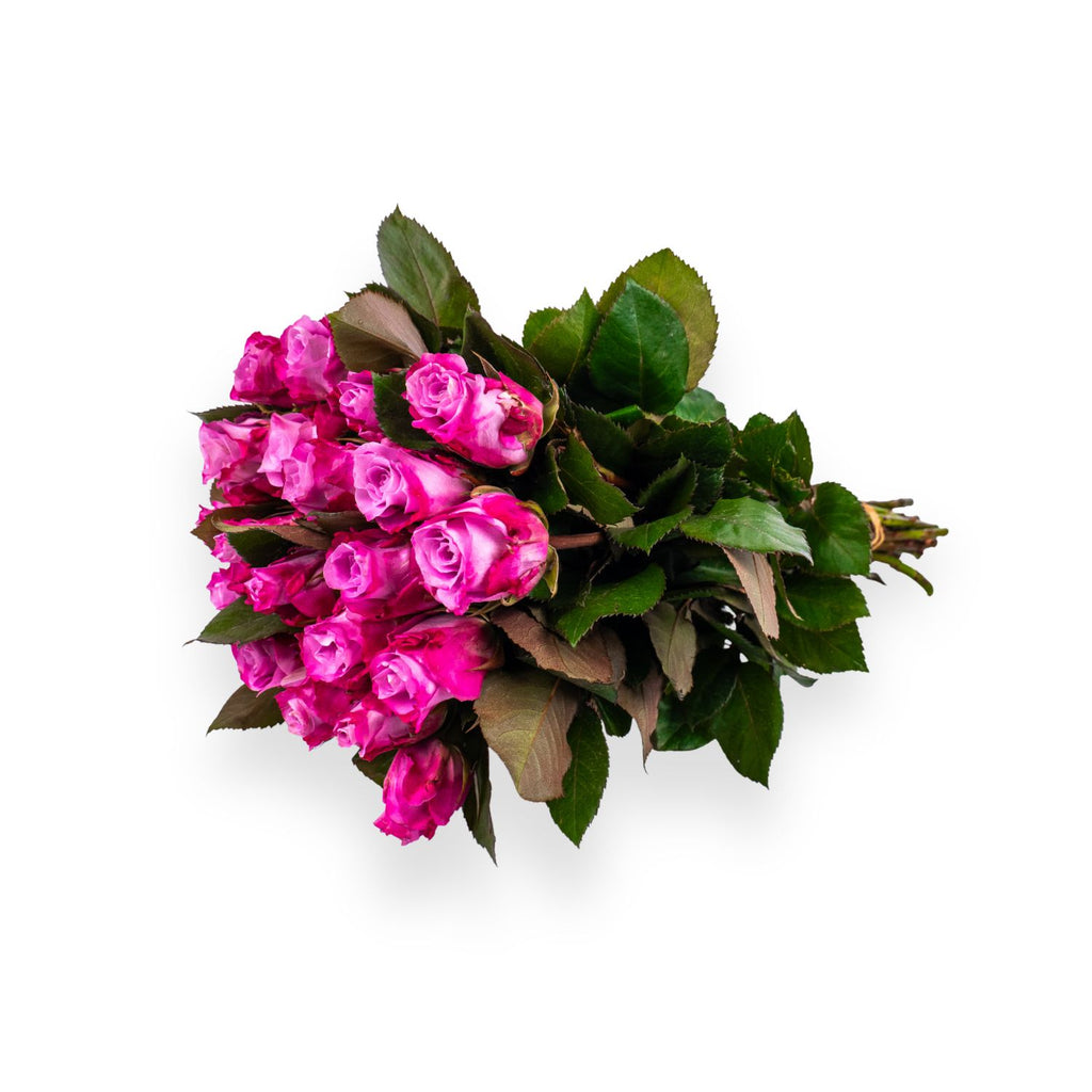 Maritime roses