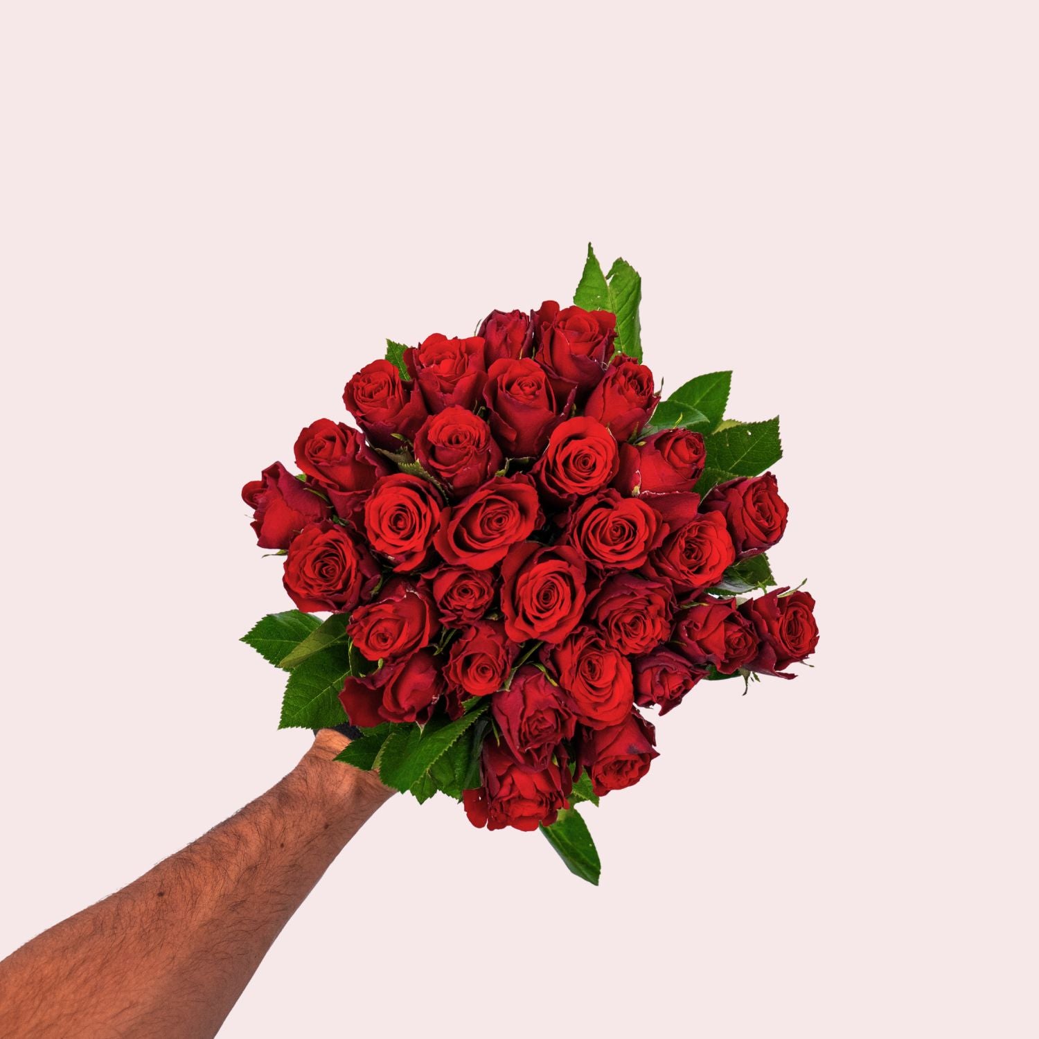 Red roses