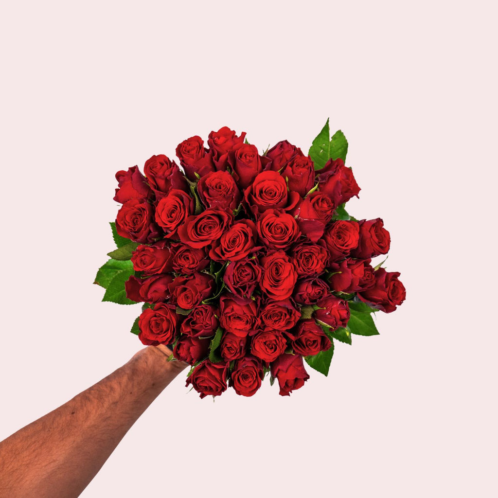 Red roses