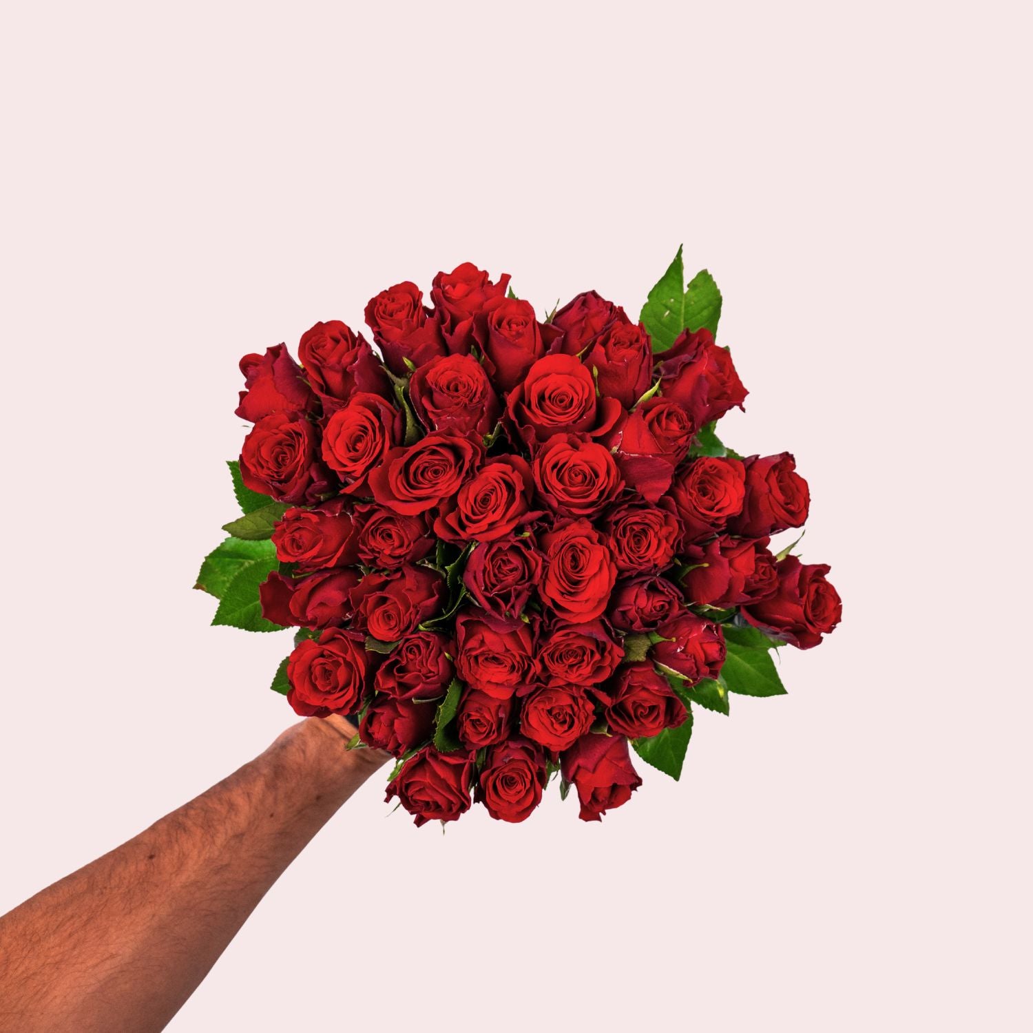 Red roses
