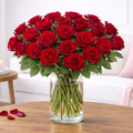 Red roses - XL roses 60cm - EverRed