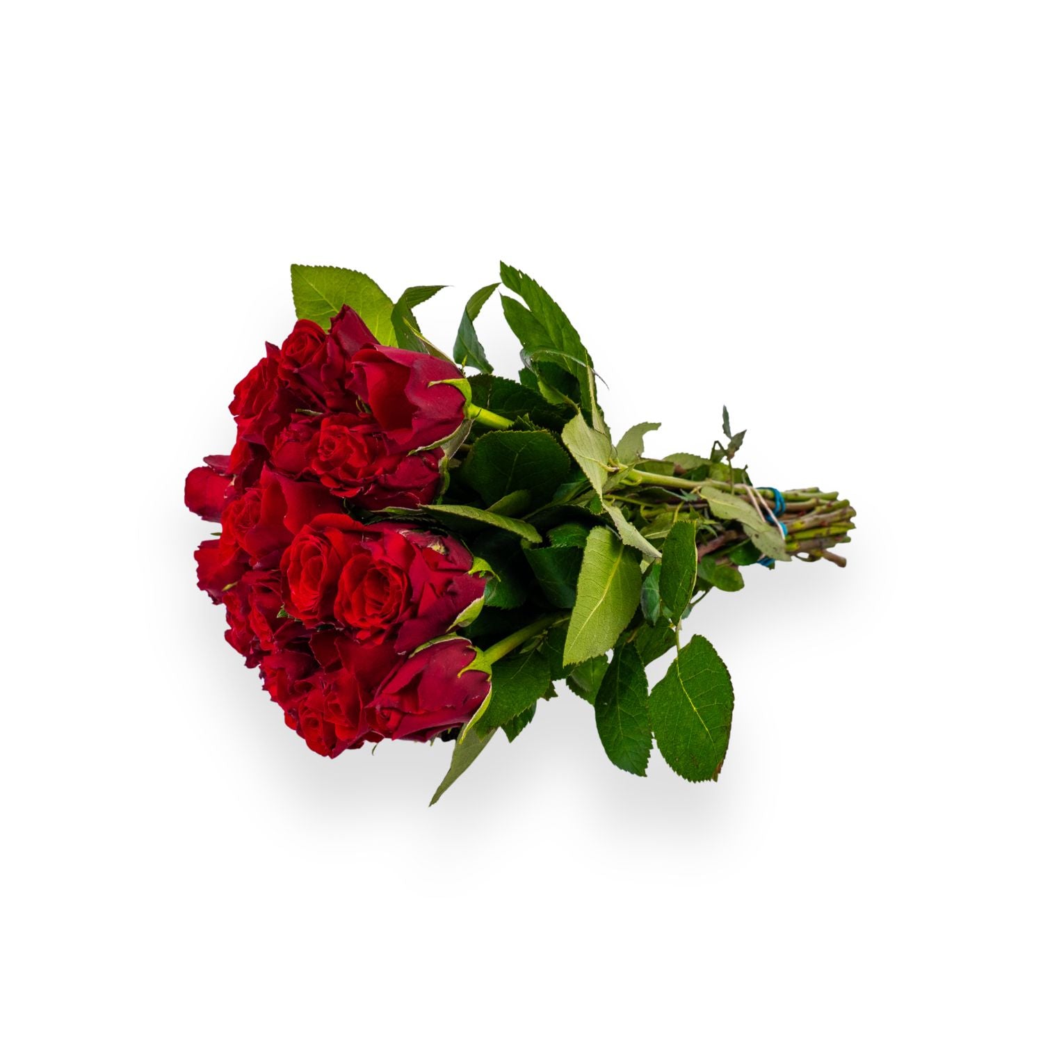 Red roses