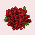 Red roses