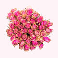 Pink roses