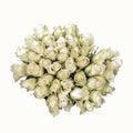 White roses