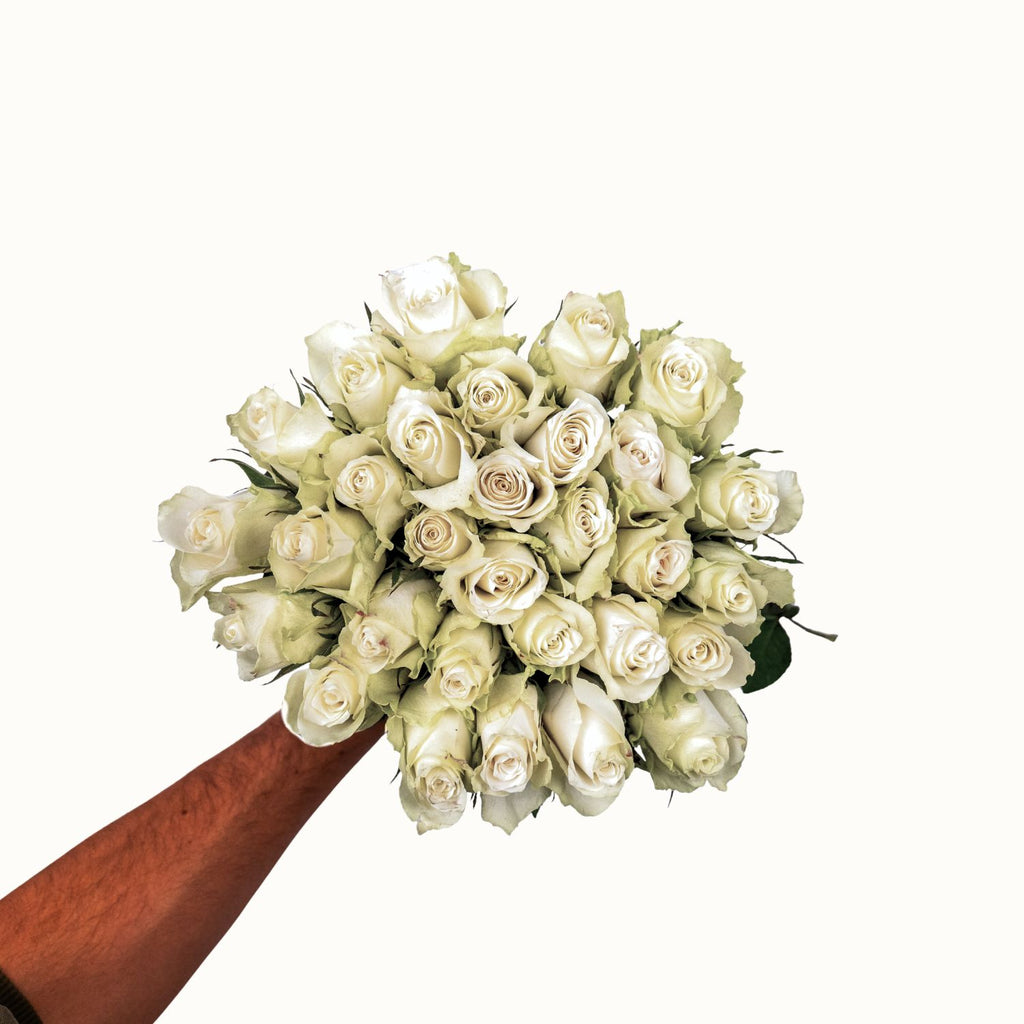 White roses