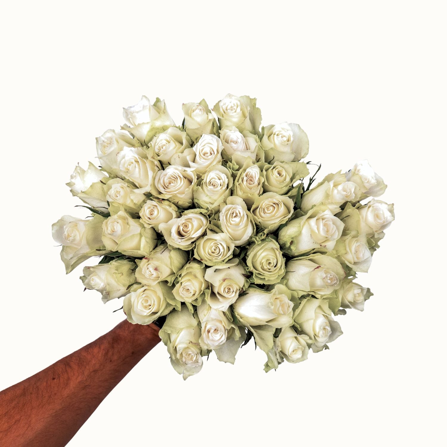 White roses
