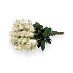 White roses