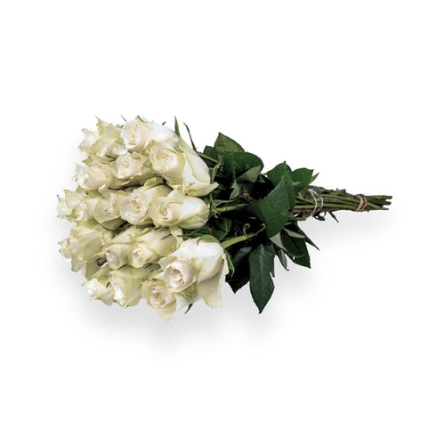 White roses