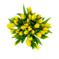 Fresh Yellow Tulips