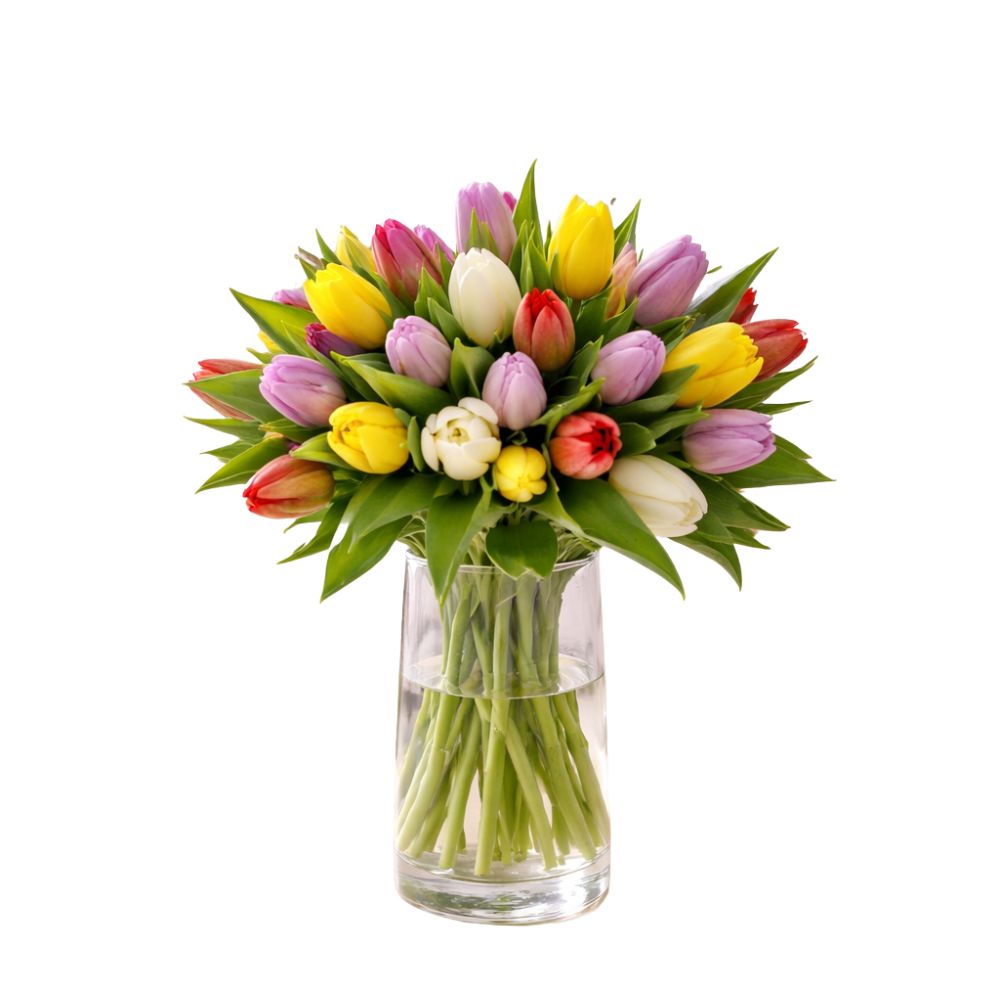 Fresh Mixed color Tulips