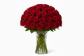 Red rozes 30 pcs in a vase
