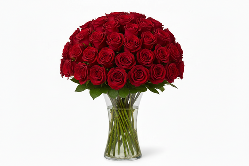 Red rozes 30 pcs in a vase