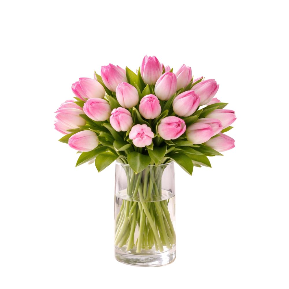 Fresh Pink Tulips